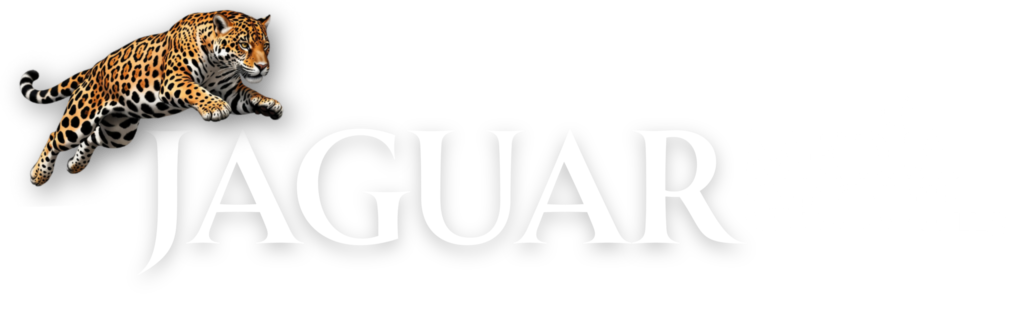Jaguar Media Group