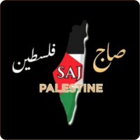 Saj Palestin